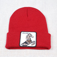 Casual Women's Embroidered Knitted Hat Pullover Hat