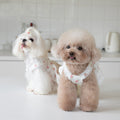 Small Town Flower Print Lace Dog Skirt