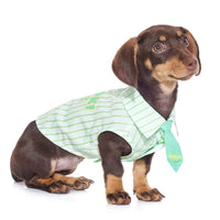 Teddy Schnauzer Pet Thin Cotton Shirt