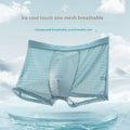 Ice Silk Mesh Men's Underwear