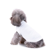 Small Dog Springsummer Thin Pullover Hooded T-shirt