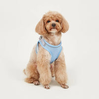 Dog Hand Holding Rope Vest Small Dog Dog Leash Teddy Bichon Breathable Chest Strap Pomeranian Puppy Small Dog Leash