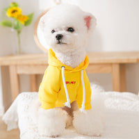 Cat Poodle Small Puppies Puppy Dog Clothes