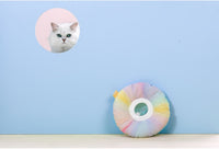 Rainbow Gradient Soft Waterproof Headgear Pet Sterilization Ring