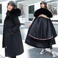 Lady's fur coat