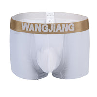 Ice Silk Semi Transparent Men's Boxer Shorts