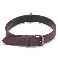 Pet Microfiber Leather Engraved Adjustable Anti-lost Collar