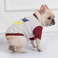 Casual Teddy Dog Sweatshirt