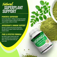 Moringa Capsules 90 Capsules Of Moringa Seed Vitamin Capsules Available