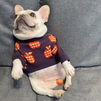 Puppy Cat Autumn And Winter Sweater