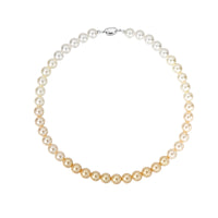 S925 Sterling Silver Clasp Necklace With Australian White Tea inspired Golden Gradient Pearls