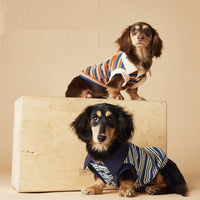 Tony Bear Dog Clothes Striped Polo Shirt
