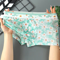 Summer Breathable Thin Transparent Boxers