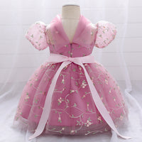 Children's Dress Princess Dress Embroidered Mesh Puffy One Year Old Celebration