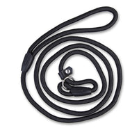 Match rope dog P-chain Teddy Bear VIP integrated traction strap pet supplies