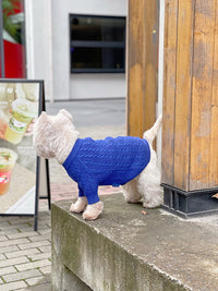 Bichon Corgi Warm And Thick Winter Clothes
