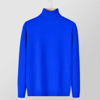New Slimfit Turtleneck Sweater For Men