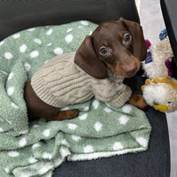 Winter Wear Warm Pet Autumnwinter Clothes