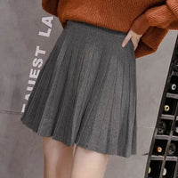 Women's Autumn And Winter High Waist Knit Pleated Skirt