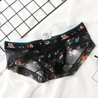 Fashion Transparent Mesh Boys Underwear Printing
