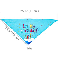 Pet Dog And Cat First Birthday Party Triangle