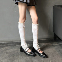 Women's 2026 Spring New French Style Mary Janes, Square Toe Buckle Strap Thick Heel Pumps, Elegant All-Match Single Shoes