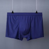 Men's Boxer Plus Size Ice Silk See Through Breathable Mesh Thin Boxer Shorts