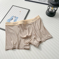 Ice Silk Men's Cotton Crotch Boxer Briefs Boys Teenagers Traceless Plus Size