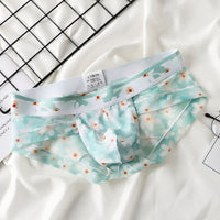 Fashion Transparent Mesh Boys Underwear Printing