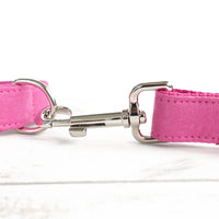 Muttco dog collar traction rope set bite resistant neck set