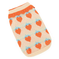 Cat Clothes For Fall Kittens To Prevent Shedding
