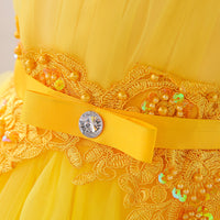 Children's Sequined Inserted Beads Embroidered Baby Princess Dress