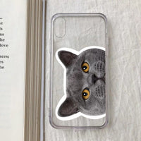 Compatible with Apple , Mobile Phone Creative Transparent Cat Printing Protective Cover