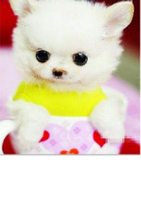 Personalized Dressing Up Dye For Dog Hair