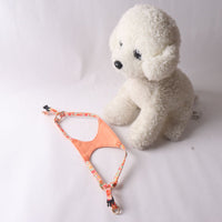 Super Beautiful Floral Series Pet Harness Suit With Hand Holding Rope