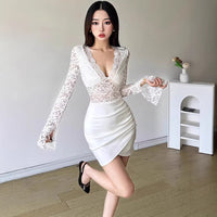 Womens Celebrity Style Sexy Lace See Through V Neck Bodycon Dress