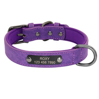 Engraved Lettering On The Neck Ring Of Dogs And Cats To Prevent Loss
