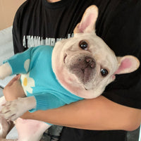 Pet Fashion Brand Clothes Dog Cat Fight