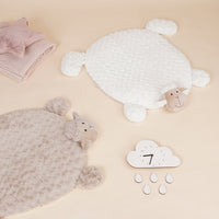 Pet Cat And Dog Sleeping Mat