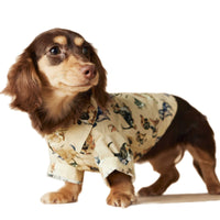 Printed Shirt Dachshund Schnauzer Teddy Bichon Maltese Clothes