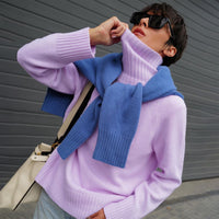 Elegant Commuter's All-matching Solid Color Raglan Sleeve Sweater For Women