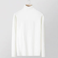 New Slimfit Turtleneck Sweater For Men