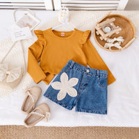 Flower Embroidered Denim Shorts Set Two-piece