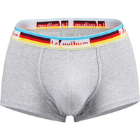 Men's Cotton Mid-rise Underwear Rainbow Belt Boxer Shorts