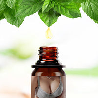 Nursing Firm Massage Care Beauty Salon Essential Oil