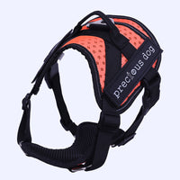 Adjustable dog traction chest and back