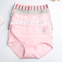 Autumn underpants girl 100% cotton