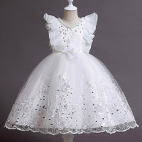 Embroidered Little Flowers Girls Dress Princess Dress