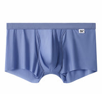 Men's Mesh Underwear Men's Ice Silk Boxer Summer Thin Breathable Boxers Seamless Youth Pants Men