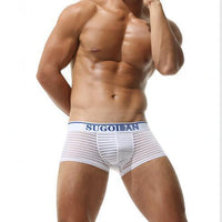 Striped Transparent Sexy Underwear Boxers